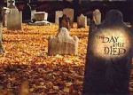 Watch The Day They Died Movie2k