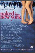 Watch Naked in New York Movie2k