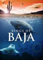 Watch Kings of Baja Movie2k