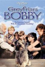 Watch Greyfriars Bobby The True Story of a Dog Movie2k