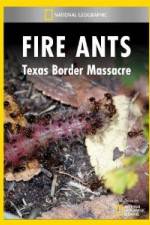 Watch National Geographic Fire Ants: Texas Border Massacre Movie2k