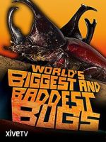 Watch World\'s Biggest and Baddest Bugs Movie2k