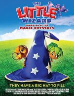 Watch The Little Wizard: Guardian of the Magic Crystals Movie2k