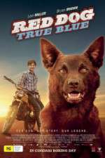 Watch Red Dog True Blue Movie2k