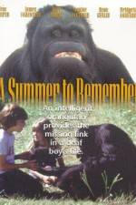 Watch A Summer to Remember Movie2k