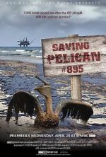 Watch Saving Pelican 895 (Short 2011) Movie2k