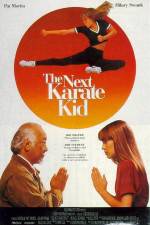 Watch The Next Karate Kid Movie2k