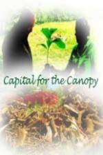 Watch Capital for the Canopy Movie2k