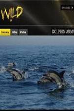 Watch National Geographic Wild Dolphin Army Movie2k