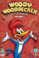 Watch Woody Woodpecker and His Friends Movie2k