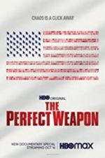 Watch The Perfect Weapon Movie2k