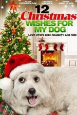 Watch 12 Christmas Wishes For My Dog Movie2k