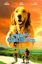 Watch The Trial of Old Drum Movie2k