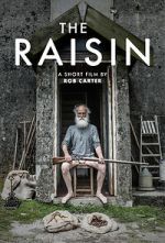 Watch The Raisin (Short 2017) Movie2k