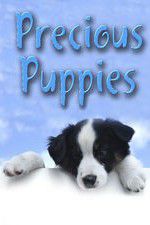 Watch Precious Puppies Movie2k