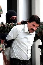 Watch The Rise and Fall of El Chapo Movie2k
