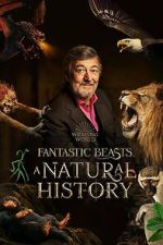 Watch Fantastic Beasts: A Natural History Movie2k