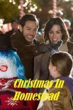 Watch Christmas in Homestead Movie2k