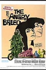 Watch The Angry Breed Movie2k