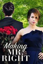 Watch Making Mr. Right Movie2k