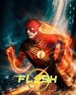 The Flash: Test Run (Short 2024) movie2k