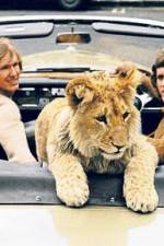 Watch The Lion Cub from Harrods Movie2k