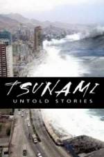 Watch Tsunami: Untold Stories Movie2k