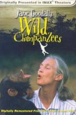 Watch Jane Goodall's Wild Chimpanzees Movie2k