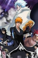 Watch Bleach: The Diamond Dust Rebellion Movie2k