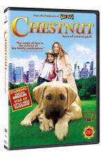 Watch Chestnut - Hero of Central Park Movie2k