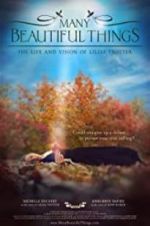 Watch Many Beautiful Things Movie2k