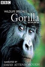 Watch Gorilla Revisited with David Attenborough Movie2k