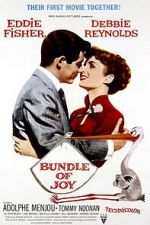 Watch Bundle of Joy Movie2k