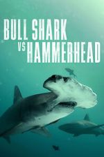 Watch Bull Shark vs Hammerhead Movie2k