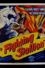 Watch The Fighting Stallion Movie2k