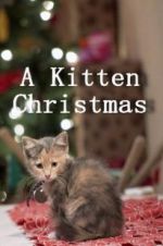 Watch A Kitten Christmas Movie2k