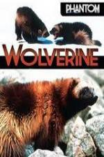 Watch National Geographic  Phantom Wolverine Movie2k