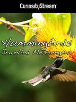 Watch Hummingbirds Jewelled Messengers Movie2k