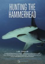 Watch Hunting the Hammerhead Movie2k