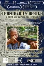 Watch A Panther in Africa Movie2k