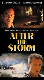 Watch After the Storm Movie2k