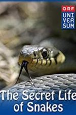 Watch The Secret Life of Snakes Movie2k