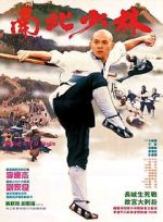 Watch Martial Arts of Shaolin Movie2k