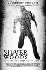 Watch Silver Woods Movie2k