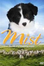 Watch Mist: The Tale of a Sheepdog Puppy Movie2k