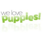 Watch We Love Puppies Movie2k