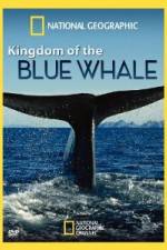 Watch National Geographic Kingdom of Blue Whale Movie2k