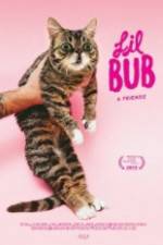 Watch Lil Bub & Friendz Movie2k