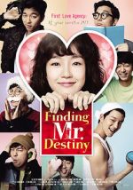 Watch Finding Mr. Destiny Movie2k