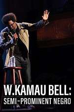 Watch W. Kamau Bell: Semi-Promenint Negro Movie2k